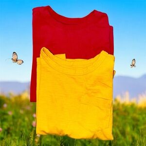 Two Primary Long Sleeve Tees in Pink and Yellow